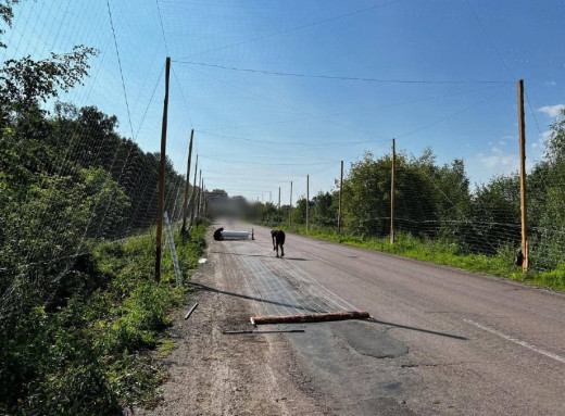На Сумщині будують «антидронові тунелі» для захисту військових і цивільних фото На Сумщині будують «антидронові тунелі» для захисту військових і цивільних фото