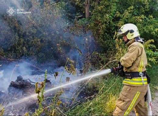 На Сумщині рятувальники ліквідували 7 загорянь сухостою за добу фото