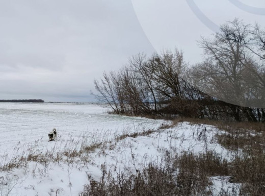 Сніг, туман та ожеледиця: прогноз погоди на найближчі дні для Сумщини фото
