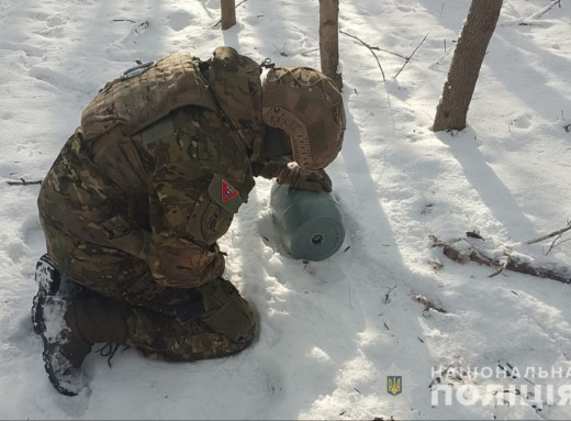 На Сумщині знешкоджено бойову частину збитого ворожого безпілотника фото