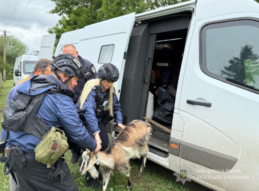 "Білі янголи" евакуювали жінку з тваринами з прикордоння Сумщини фото
