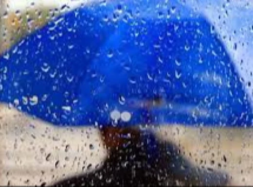 Сумські синоптики прогнозують дощ на неділю фото