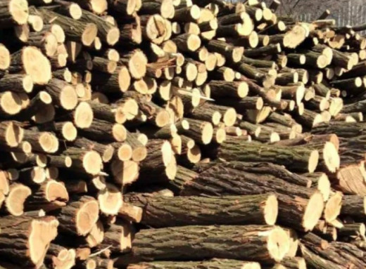 Грошова допомога на тверде паливо: жителі Сумщини отримають по 19 400 грн фото Грошова допомога на тверде паливо: жителі Сумщини отримають по 19 400 грн фото