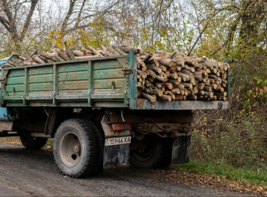 Уряд виділив кошти на придбання дров для мешканців прифронтових громад Сумщини фото