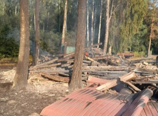 Через війну потенційно заміновано понад чверть лісів Сумщини фото
