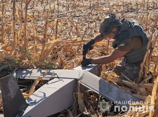 На Сумщині вибухотехніки поліції знешкодили ворожий БПЛА фото