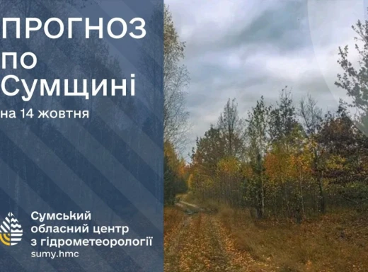 Погода на початку тижня в Сумах: очікується дощ та помірний вітер фото