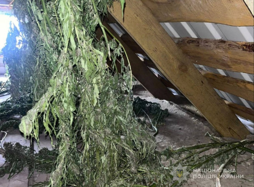 На Сумщині поліція вилучила понад 4 кг наркотичних речовин фото