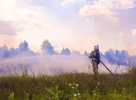 Російські обстріли спричинили екологічну катастрофу на Сумщині фото