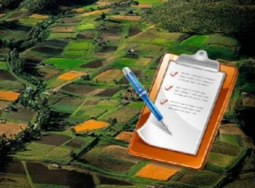 Громада недоотримала 350 тисяч гривень: фермерка на Сумщині незаконно користувалася землею фото