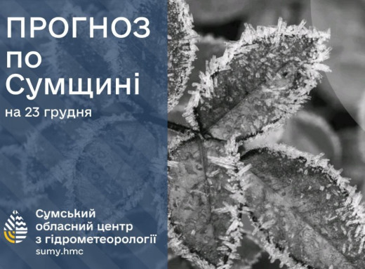 Непостійна погода на початку тижня: на Сумщині очікуються опади та ожеледиця фото