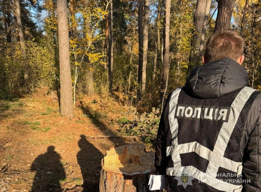 На Конотопщині трьом особам повідомили про підозру через загибель робітника в лісі фото На Конотопщині трьом особам повідомили про підозру через загибель робітника в лісі фото