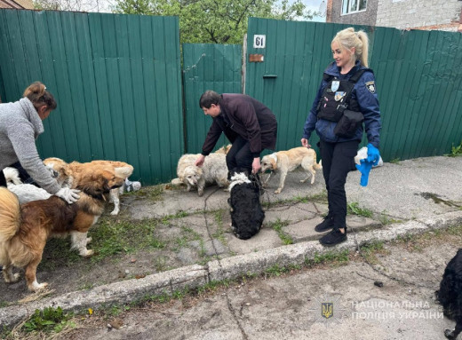 «Білі янголи» евакуювали з прикордоння Сумщини жінку, яка не хотіла покидати 12 собак фото «Білі янголи» евакуювали з прикордоння Сумщини жінку, яка не хотіла покидати 12 собак фото