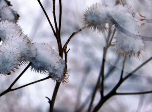 Ожеледиця та мінус 22: якою буде погода в Сумській області найближчими днями фото