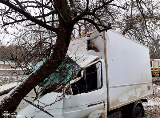 На Сумщині рятувальники врятували двох людей після ДТП фото