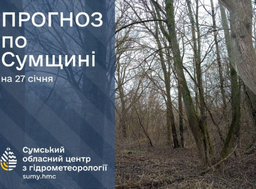 На Сумщині очікується потепління до 9 градусів фото