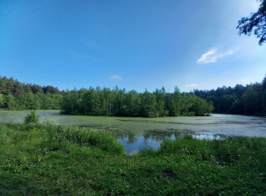 Для 19 заповідних об’єктів Сумщини розроблено проєкти землеустрою для захисту їхніх меж фото