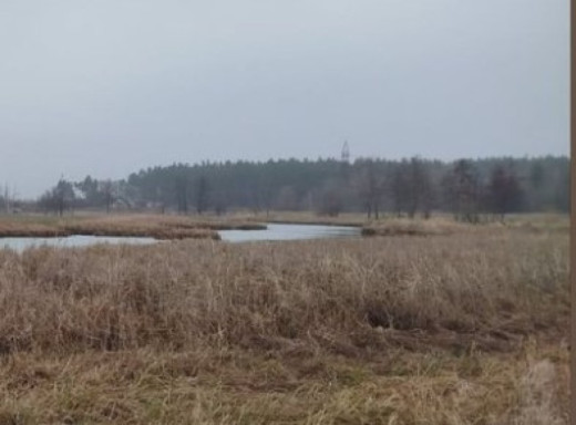 На Сумщині виявили тіло зниклого чоловіка у плавнях фото