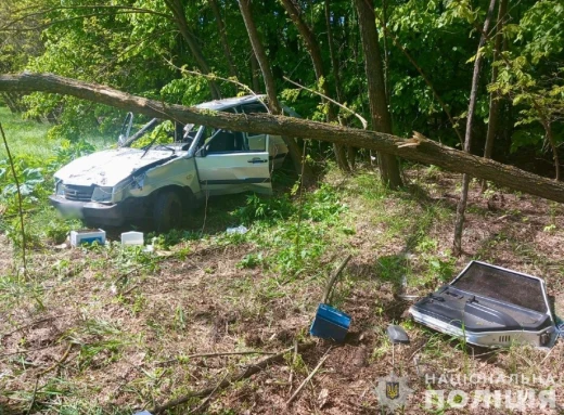На Сумщині легковик перекинувся в кювет: водійка та двоє дітей травмовані фото