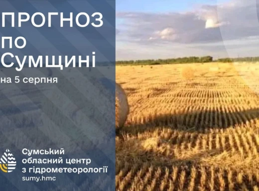 5-7 серпня: яку погоду очікувати сум’янам на початку тижня? фото