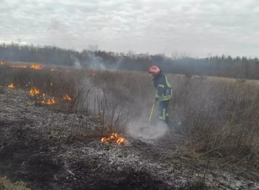 Рятувальники закликають не спалювати суху рослинність фото