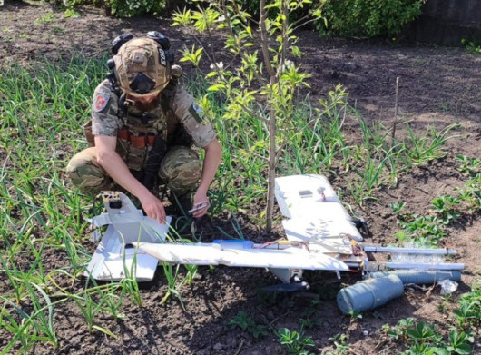 На Сумщині вибухотехніки знешкодили бойову частину ворожого БпЛА, що впав на городі