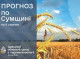 Прогноз погоди на Сумщині на 9-11 серпня