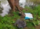 На Сумщині браконьєр завдав шкоди природі на 300 тисяч гривень