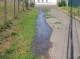 У Сумах каналізаційні стоки з багатоповерхівки забруднюють ґрунт