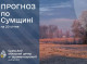 Синоптики прогнозують на Сумщині морозні ночі та тумани