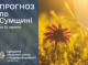 Прогноз погоди на Сумщині на 25-27 серпня