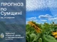 На Сумщині знову прогнозують спекотну погоду