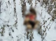 На Сумщині лісівники виявили 8 незаконно впольованих косуль