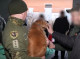 Психологічна реабілітація військових на Сумщині: кінологи залучають службових собак