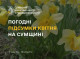 Коливання температур та 17 днів із заморозками: яким був квітень на Сумщині