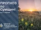 На Сумщину повертається літня спека: синоптики прогнозують до +35°C