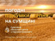 Підсумки погоди на Сумщині у серпні
