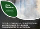 Російські обстріли спричинили масштабні лісові пожежі на Сумщині