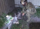 На Сумщині поліція знешкодила бойову частину російського безпілотника, що впав у дворі