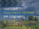 Погодні підсумки червня на Сумщині: прохолодний місяць з дощами