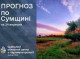 На Сумщині прогнозують різке похолодання та заморозки