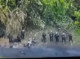На Сумщині 12 росіян здалися в полон українському дронарю