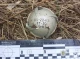 Вибухотехніки Сумщини знешкоджують небезпечні кулькові бомби
