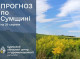 На Сумщині прогнозують спеку до кінця літа