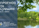 На Сумщині очікується потепління: температура підніметься до +27°