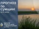 Гроза та пожежна небезпека: на Сумщині очікуються зміни погоди