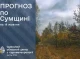 Погода на початку тижня в Сумах: очікується дощ та помірний вітер