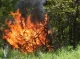 На Сумщині очікується надзвичайна пожежна небезпека