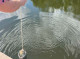 Сумські водойми: фахівці перевірили якість води