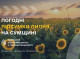 Погодні підсумки липня на Сумщині: спека, дощі та подекуди посуха